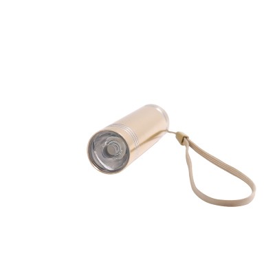 LITWOW mini portable color gold aluminum with lanyard pocket for currency detection pet urine detector led uv flashlight